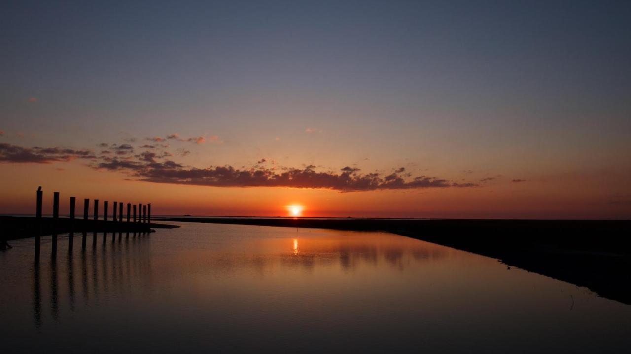 Nordsee Bauernhof Familie Wulff Fewo "Suedfall" Reußenköge エクステリア 写真