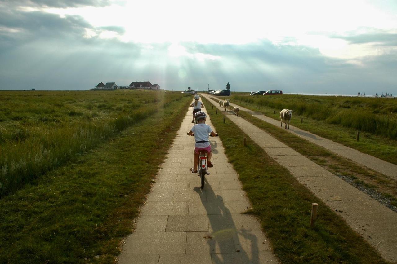 Nordsee Bauernhof Familie Wulff Fewo "Suedfall" Reußenköge エクステリア 写真