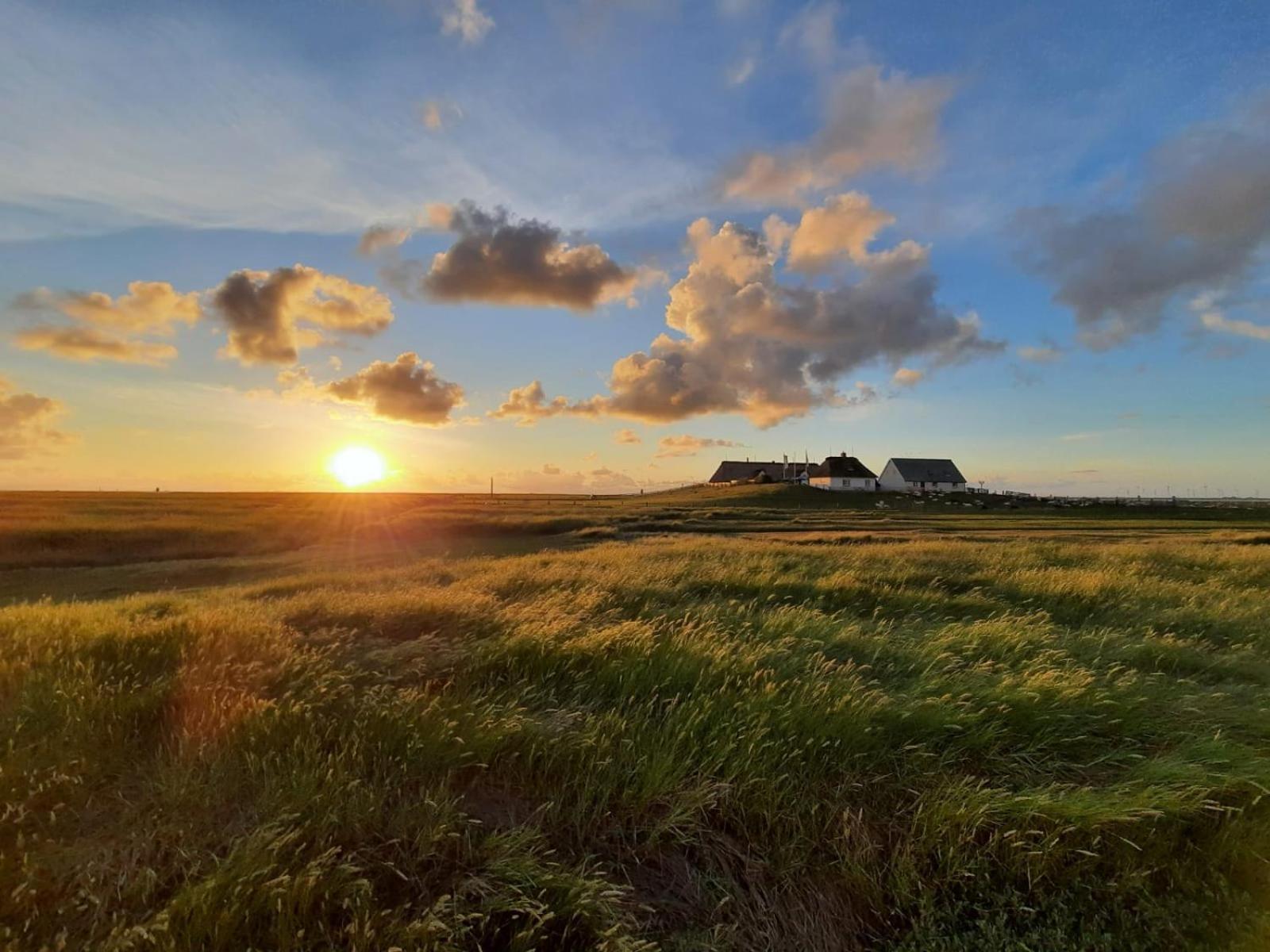 Nordsee Bauernhof Familie Wulff Fewo "Suedfall" Reußenköge エクステリア 写真