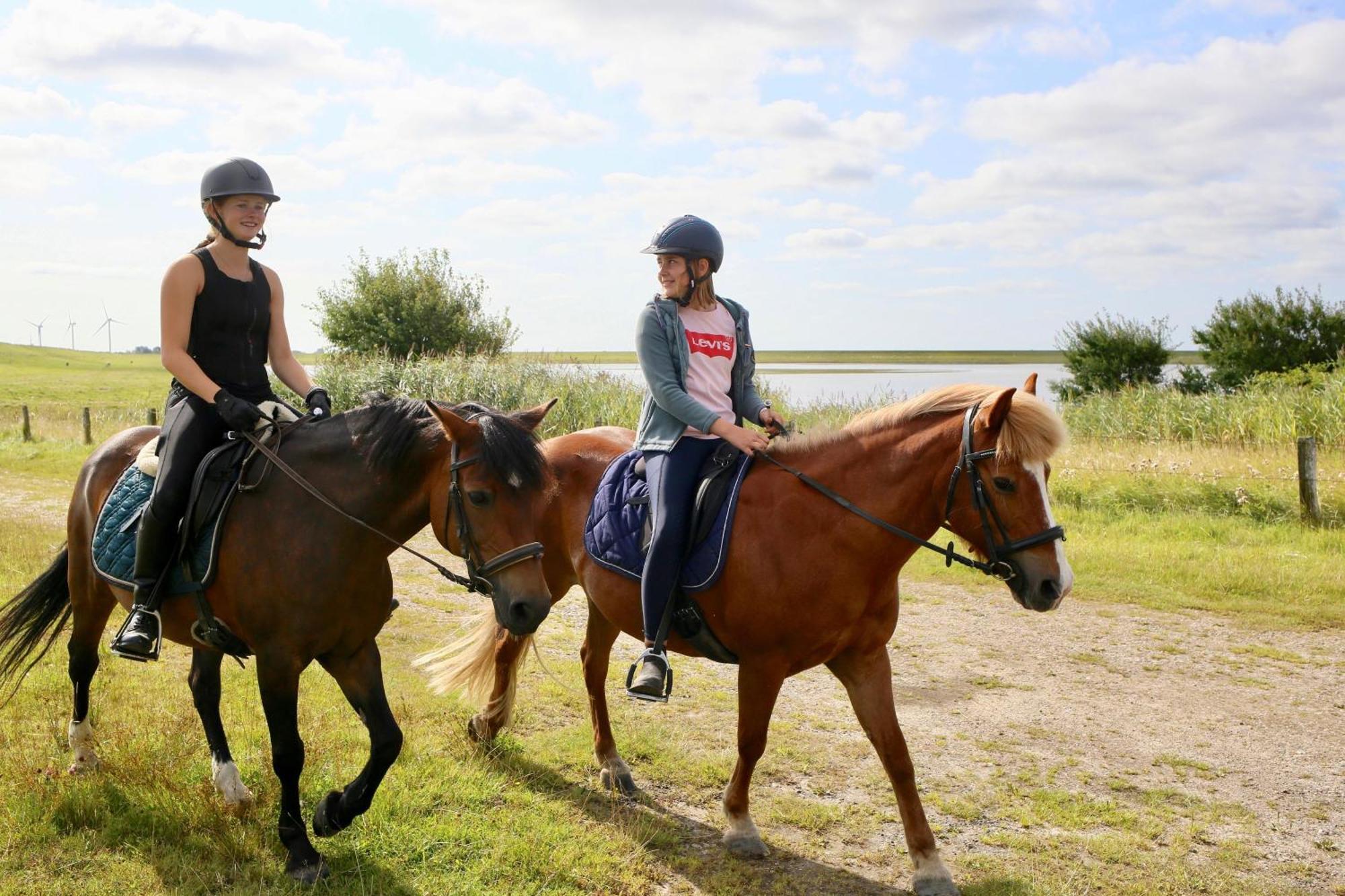 Nordsee Bauernhof Familie Wulff Fewo "Suedfall" Reußenköge エクステリア 写真